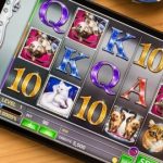 Windows Mobile Phone Slots Reviews